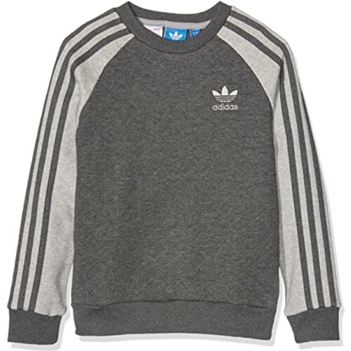 Kleidung Jungen Sweatshirts adidas Originals S96050 Grau