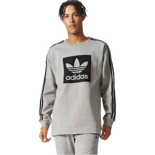 Kleidung Herren Sweatshirts adidas Originals AJ8092 Grau