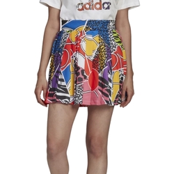 Kleidung Damen Röcke adidas Originals HC4479 Multicolor