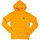 Kleidung Jungen Sweatshirts Nike 95A715 Orange
