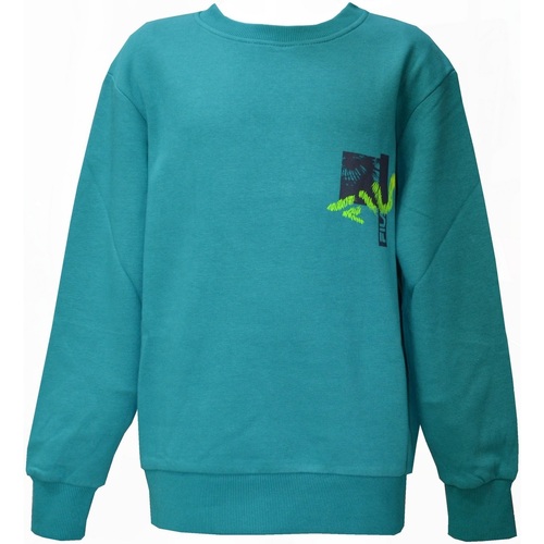 Kleidung Jungen Sweatshirts Fila FAT0148 Grün