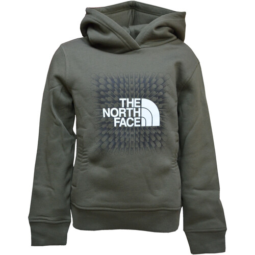 Kleidung Jungen Sweatshirts The North Face NF0A7X56 Grün