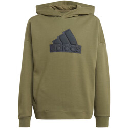 Kleidung Jungen Sweatshirts adidas Originals IM0076 Grün