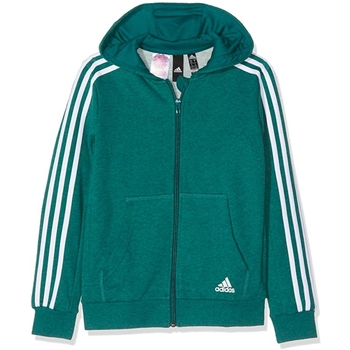 Kleidung Jungen Sweatshirts adidas Originals DJ1745 Grün