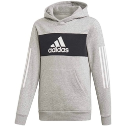Kleidung Jungen Sweatshirts adidas Originals ED6500 Grau