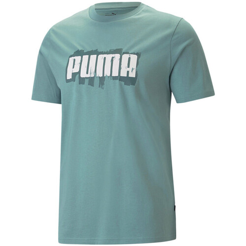Kleidung Herren T-Shirts & Poloshirts Puma 674475-84 Grün