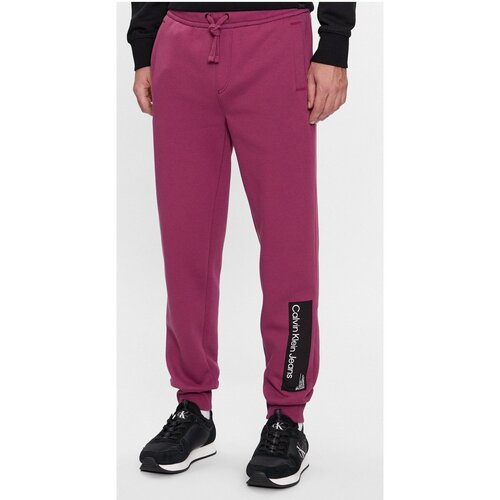 Kleidung Herren Jogginghosen Calvin Klein Jeans J30J324053 Violett