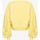 Kleidung Damen Sweatshirts Pinko CERESOLE 102827 A1R8-H23 Gelb