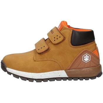 Lumberjack  Sneaker -