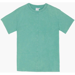 Kleidung Jungen T-Shirts & Poloshirts Le Temps des Cerises T-shirt SAROBO Grün