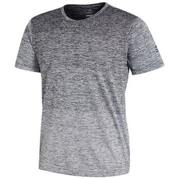 Kleidung Herren T-Shirts adidas Originals CW3435 Grau