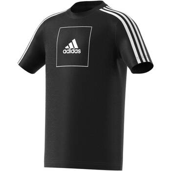 Kleidung Jungen T-Shirts adidas Originals FM4841 Schwarz