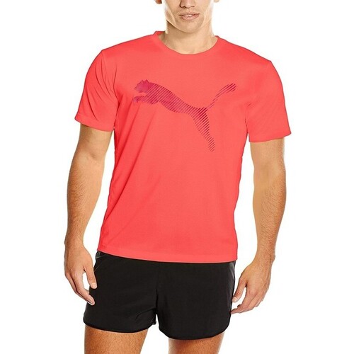 Kleidung Herren T-Shirts Puma 514578 Orange