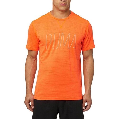 Kleidung Herren T-Shirts Puma 514358 Orange