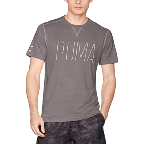 Kleidung Herren T-Shirts Puma 514358 Grau