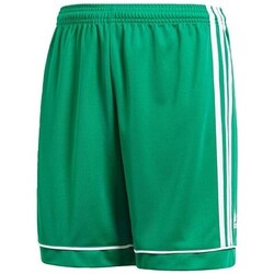 Kleidung Jungen Shorts / Bermudas adidas Originals BK4776 Grün