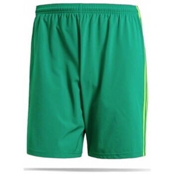 Kleidung Herren Shorts / Bermudas adidas Originals CF0713 Grün