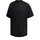 Kleidung Herren T-Shirts adidas Originals FM5385 Schwarz
