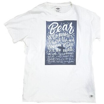 Kleidung Herren T-Shirts Bear 292019 Weiss