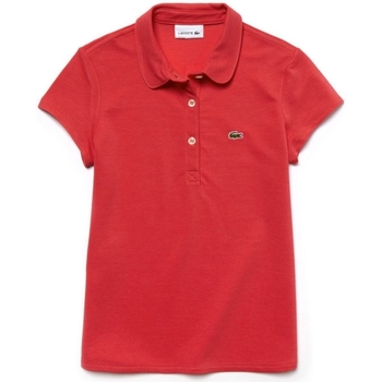 Kleidung Mädchen Polohemden Lacoste PJ2806 Rot