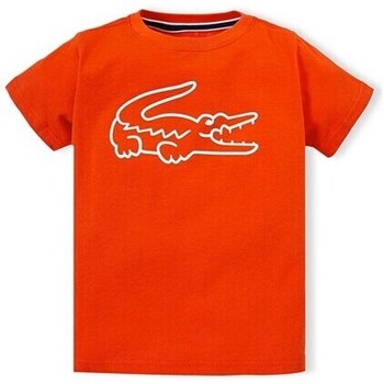 Kleidung Jungen T-Shirts Lacoste TJ7969 Orange