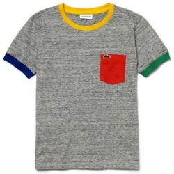Kleidung Jungen T-Shirts Lacoste TJ3871 Grau