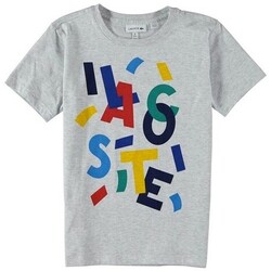 Kleidung Jungen T-Shirts Lacoste TJ6181 Grau