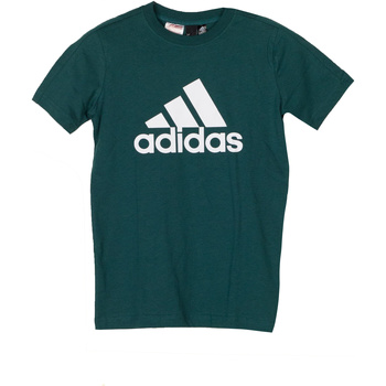 Kleidung Jungen T-Shirts adidas Originals DJ1773 Grün
