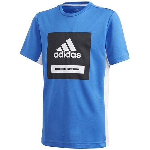 Kleidung Jungen T-Shirts adidas Originals FM1699 Blau