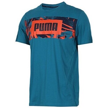 Kleidung Herren T-Shirts Puma 850119 Grün