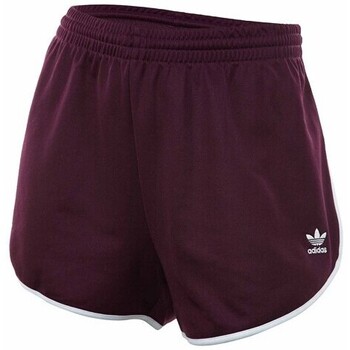 Kleidung Damen Shorts / Bermudas adidas Originals CE4177 Violett