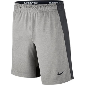Kleidung Jungen Shorts / Bermudas Nike 803966 Grau
