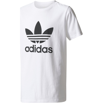 Kleidung Jungen T-Shirts adidas Originals BR8106 Weiss