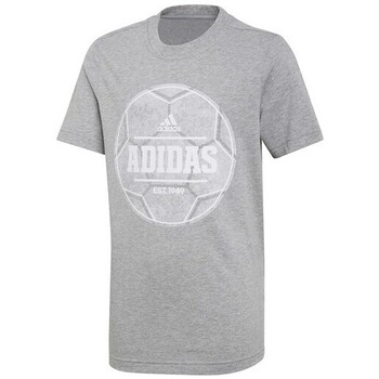 Kleidung Jungen T-Shirts adidas Originals DP3771 Grau