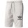 Kleidung Herren Shorts / Bermudas adidas Originals BK0005 Grau