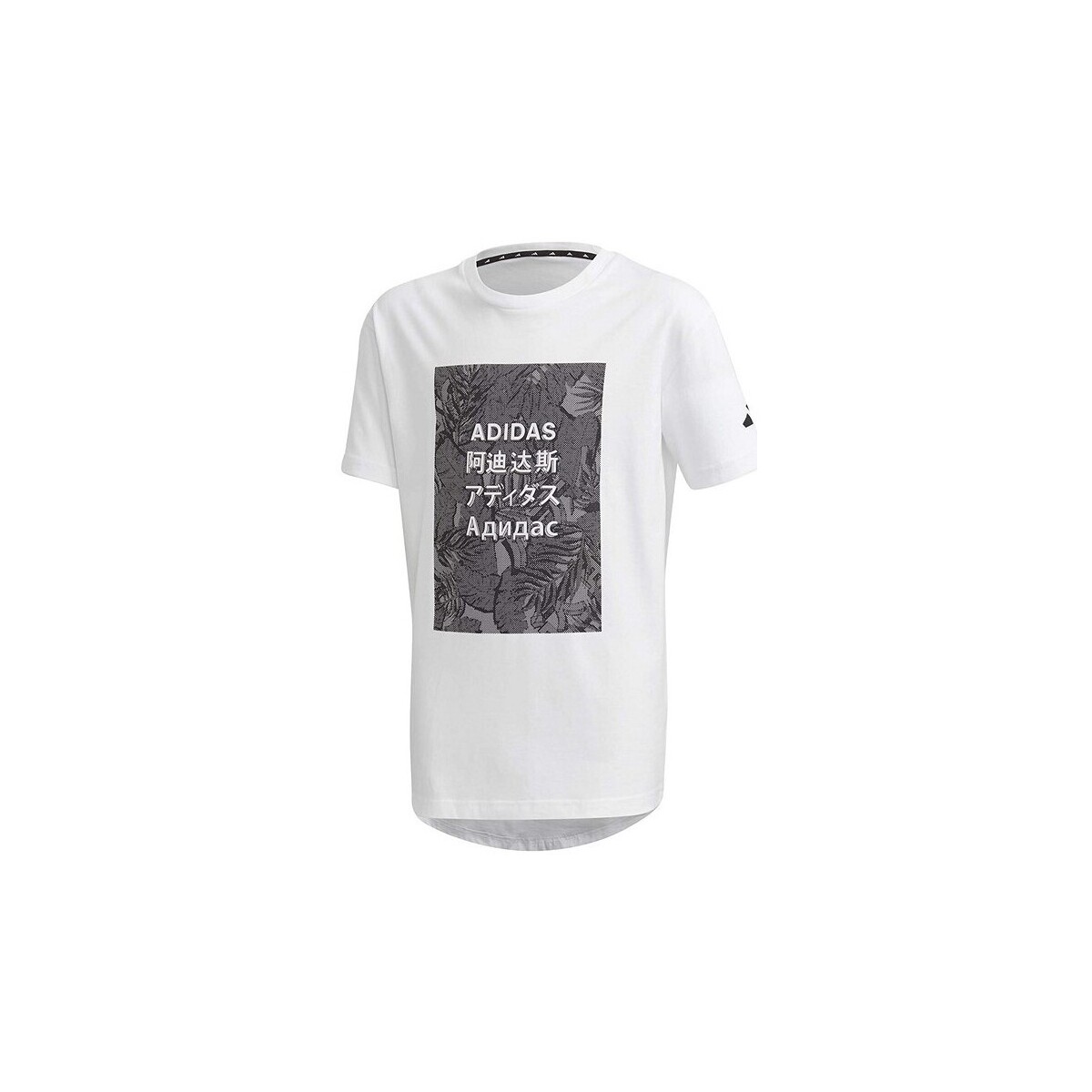 Kleidung Jungen T-Shirts adidas Originals FL2834 Weiss