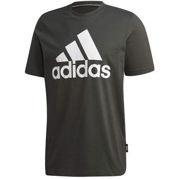 Kleidung Herren T-Shirts adidas Originals GK4993 Grün