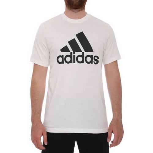 Kleidung Herren T-Shirts adidas Originals GC7348 Weiss
