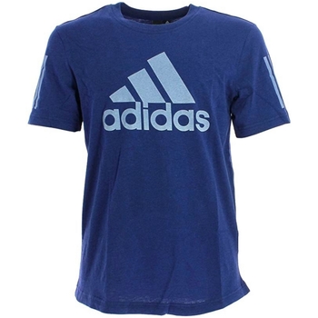 Kleidung Herren T-Shirts adidas Originals DM4062 Blau
