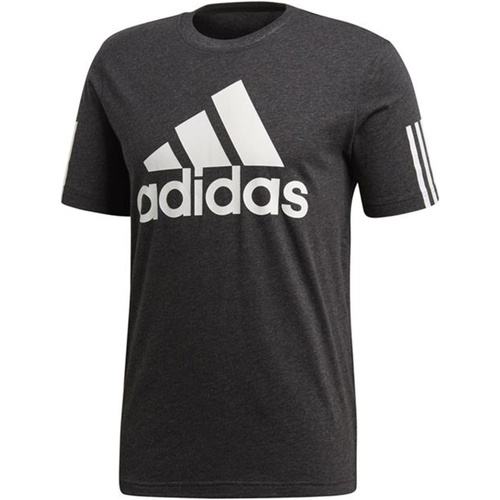Kleidung Herren T-Shirts adidas Originals DM4061 Grau