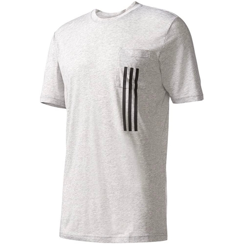 Kleidung Herren T-Shirts adidas Originals BP7039 Grau