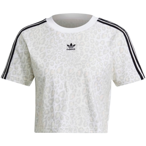 Kleidung Damen T-Shirts adidas Originals HB4756 Weiss