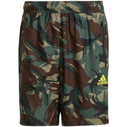 Kleidung Herren Shorts / Bermudas adidas Originals GM2107 Kaki