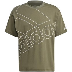 Kleidung Herren T-Shirts adidas Originals GK9428 Grün
