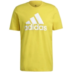 Kleidung Herren T-Shirts adidas Originals GM3248 Gelb