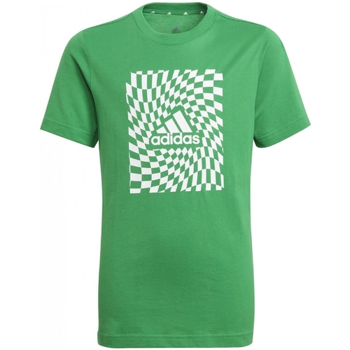 Kleidung Jungen T-Shirts adidas Originals GN1475 Grün
