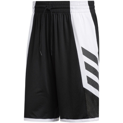 Kleidung Herren Shorts / Bermudas adidas Originals FH7947 Schwarz