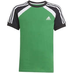 Kleidung Jungen T-Shirts adidas Originals GQ4188 Grün