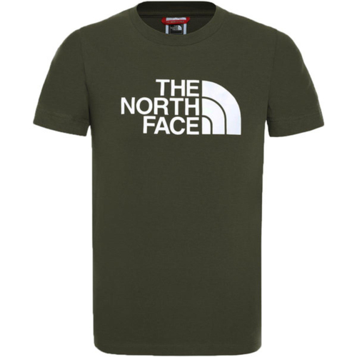 Kleidung Jungen T-Shirts The North Face NF00A3P7 Grau