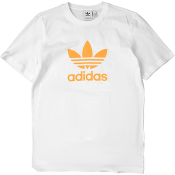 Kleidung Herren T-Shirts adidas Originals GN3486 Weiss